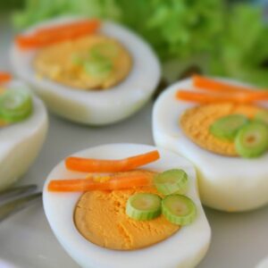 fat burning protein 1