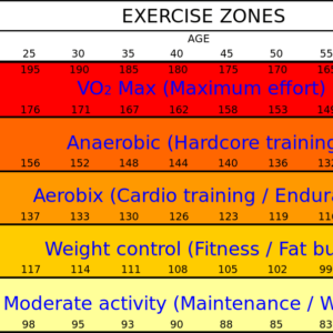ideal heart rate for fat burning 2