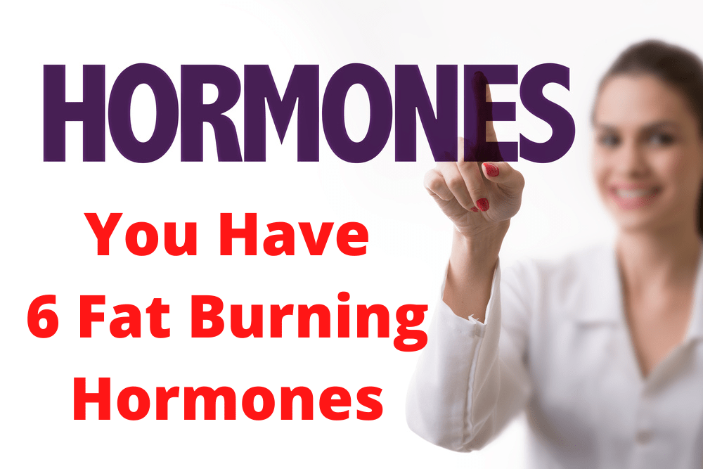 6 Fat Burning Hormones