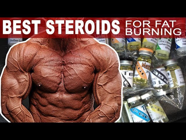 Fat Burning Steroid