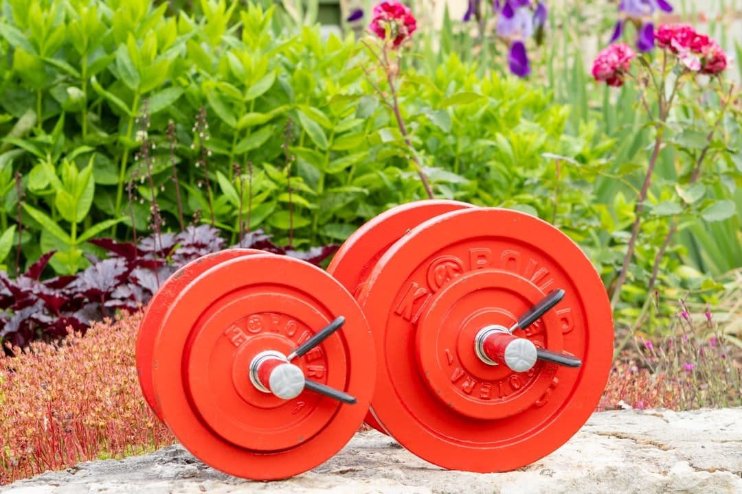 Photo Dumbbells