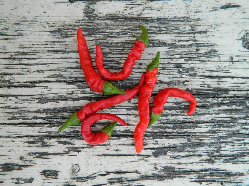 Photo Chili pepper