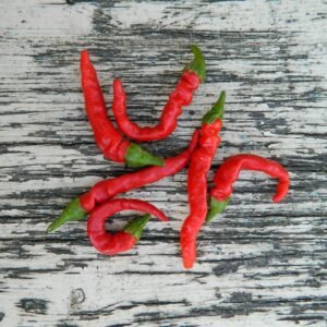 Photo Chili pepper
