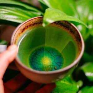 Photo Green tea