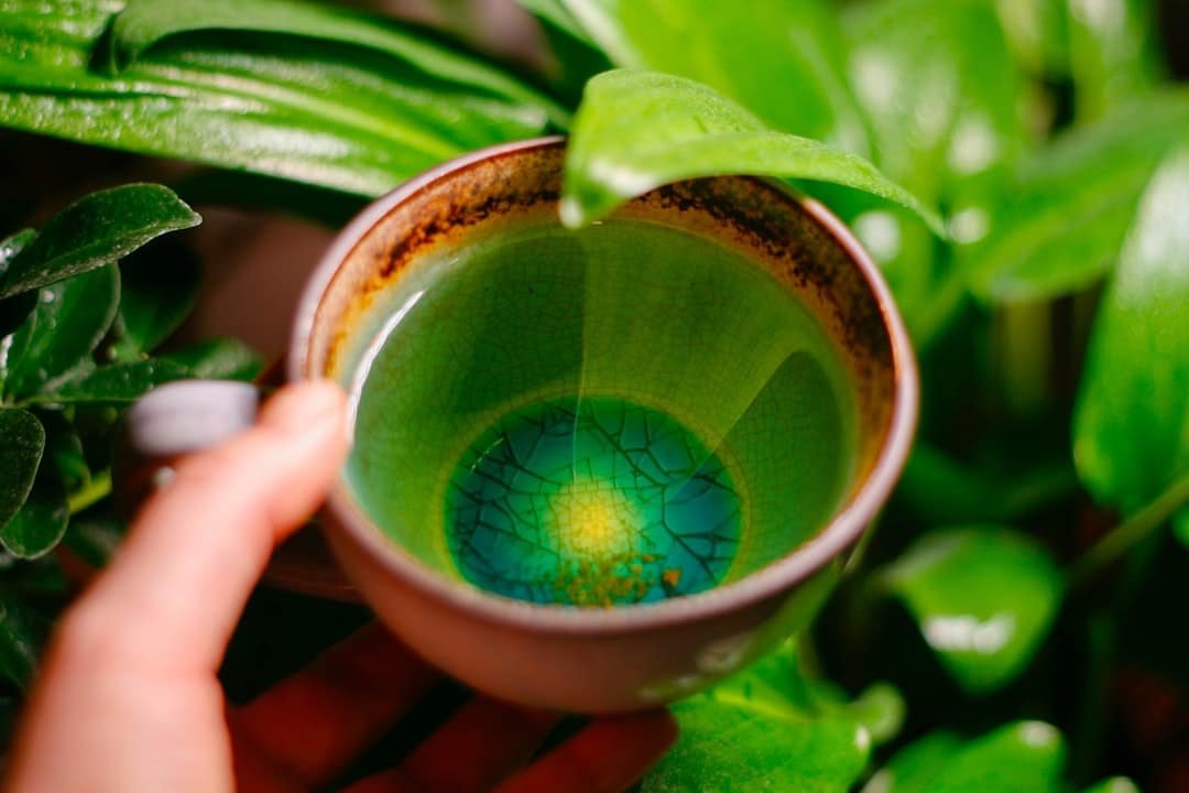 Photo Green tea