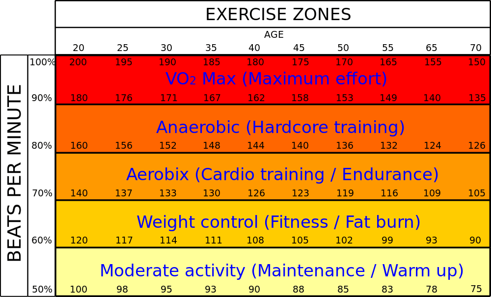 Optimal Fat Burning Heart Rate Optimal Fat Burning Heart Rate