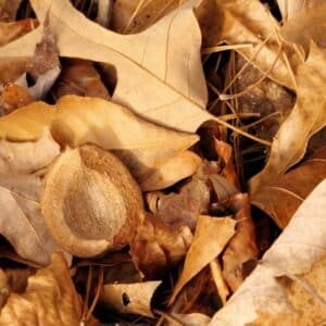 Photo Abdominal crunches