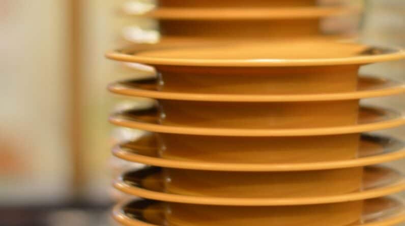 Photo "What Fat Burner is Used at Tropical Smoothie"