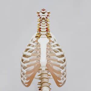 Photo Body transformation