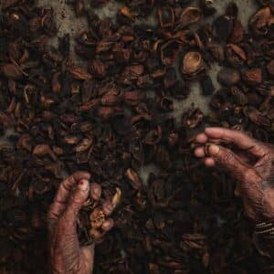 Photo Belly Fat Burning Ayurvedic Tea