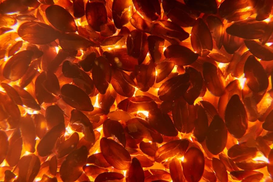 Fat Burning Supplement