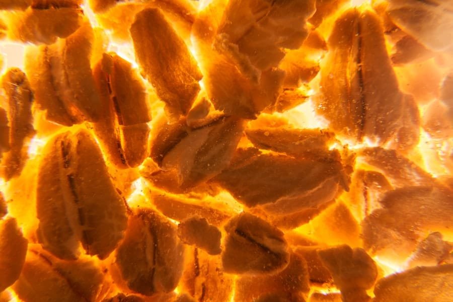 Fat Burner Supplement