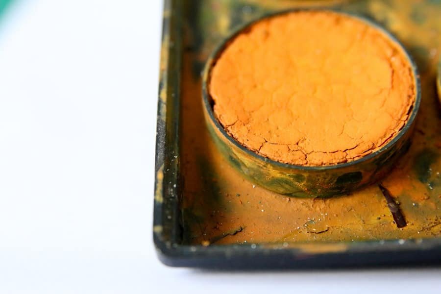 Fat Burner Supplement
