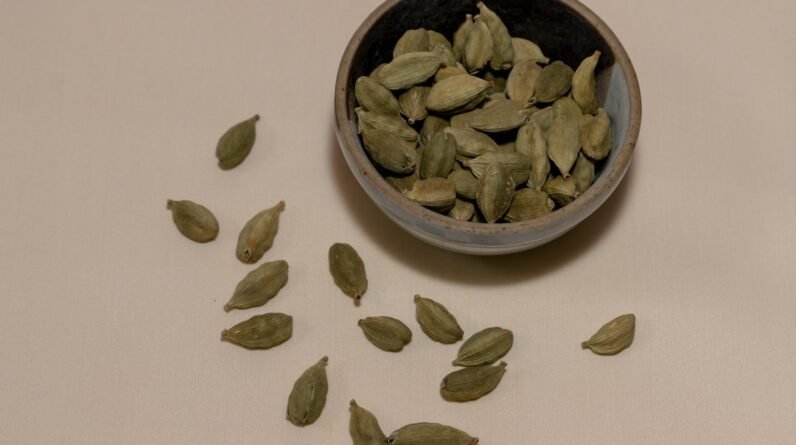Photo Green Tea Fat Burner Gummies